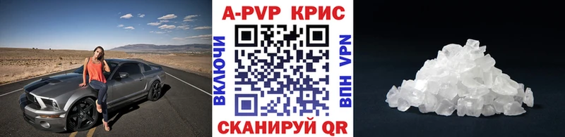 A PVP СК  Адыгейск 