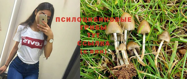 ПСИЛОЦИБИНОВЫЕ ГРИБЫ Нягань