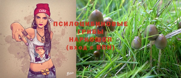 COCAINE Няндома
