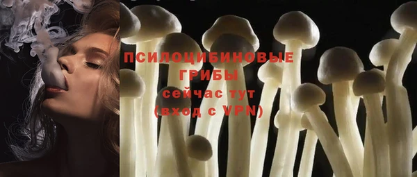 COCAINE Няндома