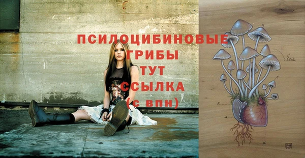 COCAINE Няндома